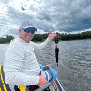 Meet your Posher, Bobby